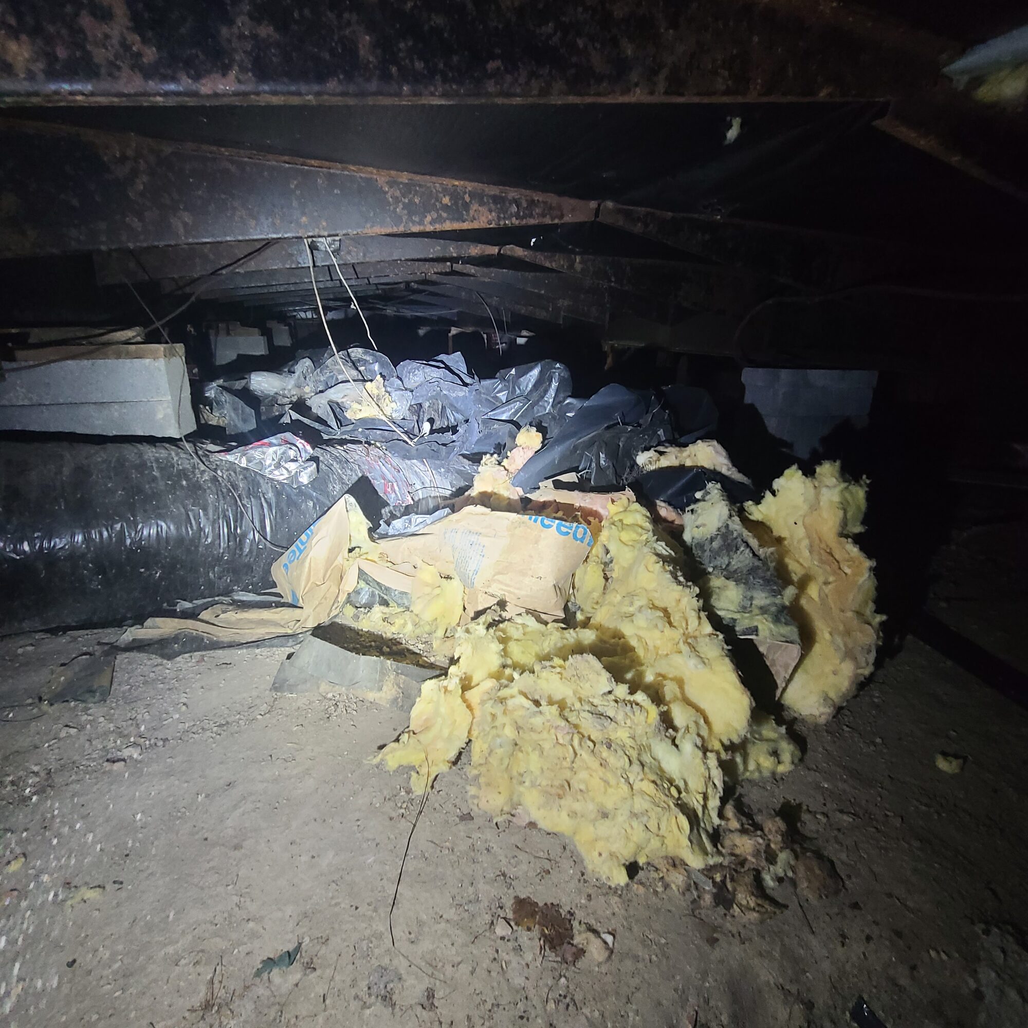 Crawlspace before service with torn plastic sheeting and water-damaged fiberglass insulation falling off the floor joists