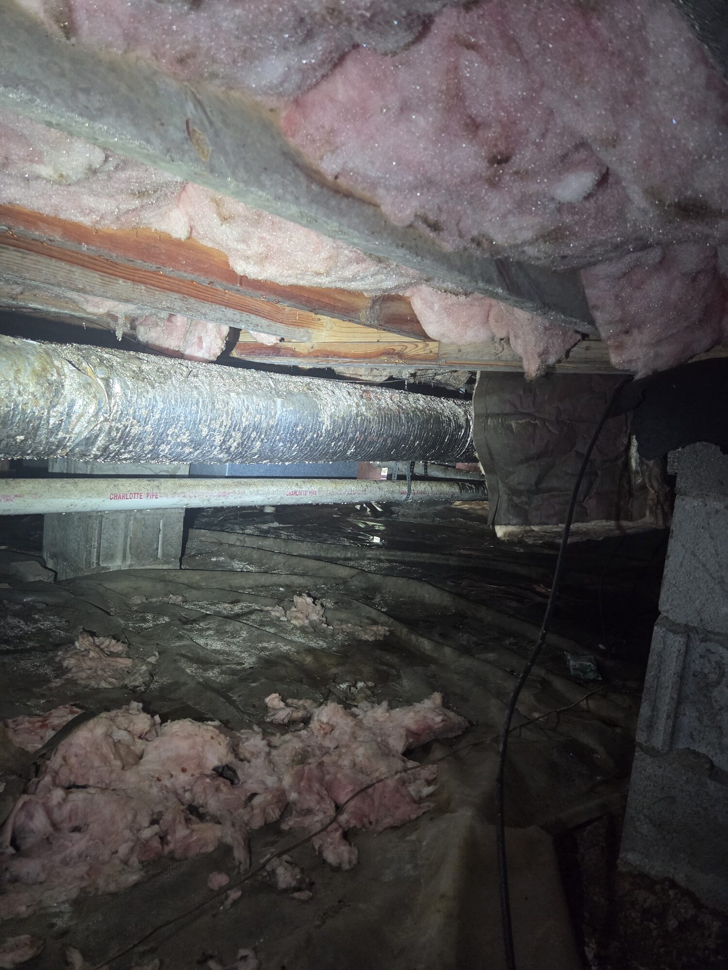 Crawlspace before service with moldy, sagging insulation drooping from the floor joists over a damp dirt floor