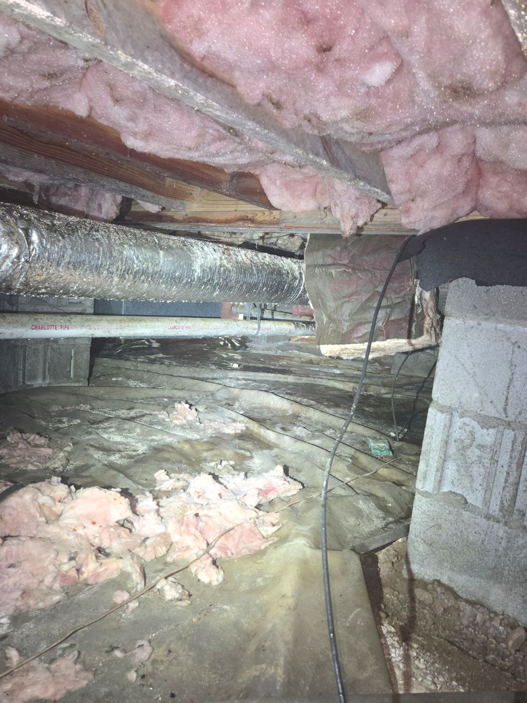 Crawlspace before service with pink insulation sagging out of the floor joists above a dirty, worn vapor barrier