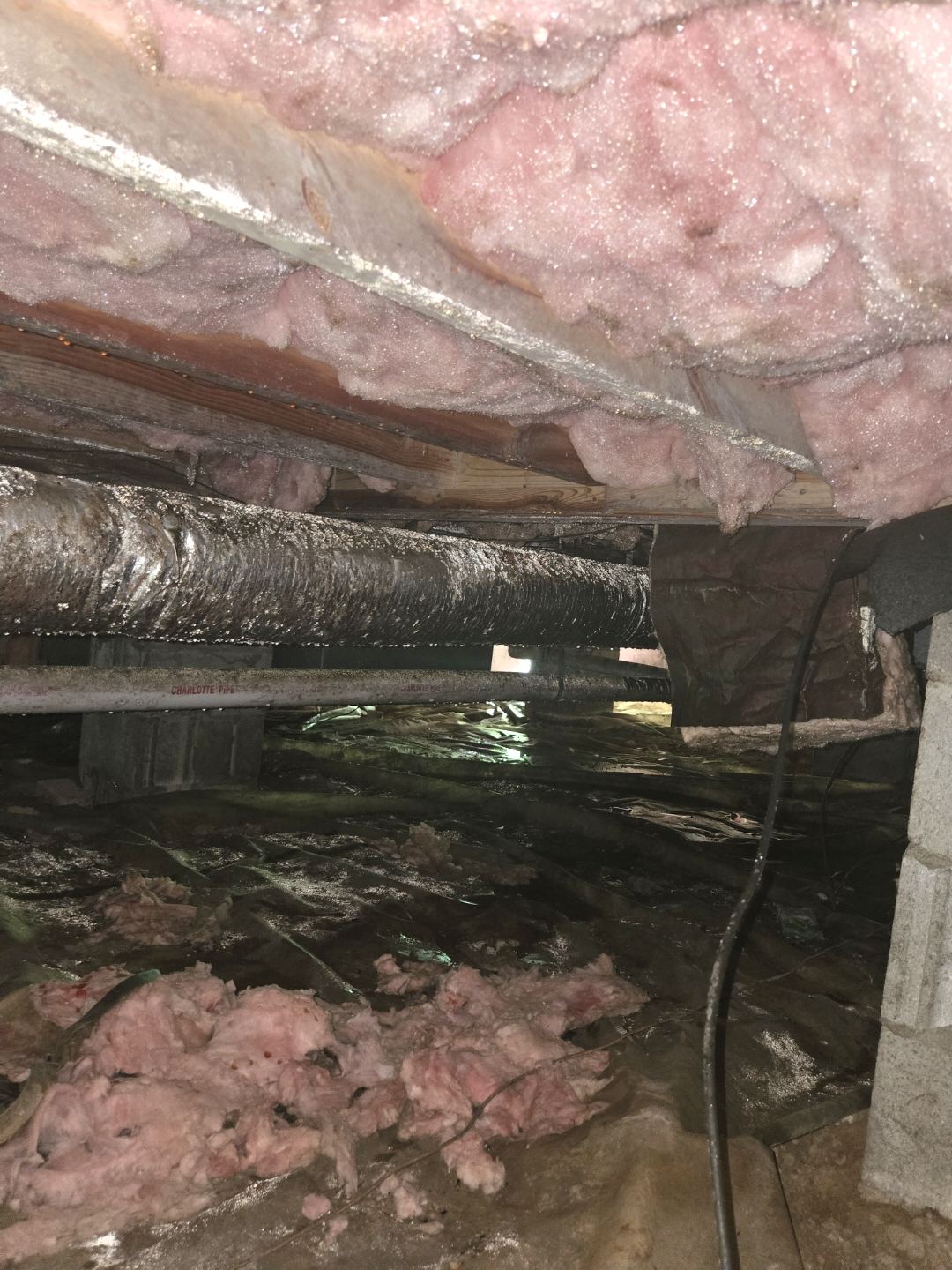 Crawlspace before service with wet, sagging insulation and a damp, deteriorating vapor barrier under the floor joists