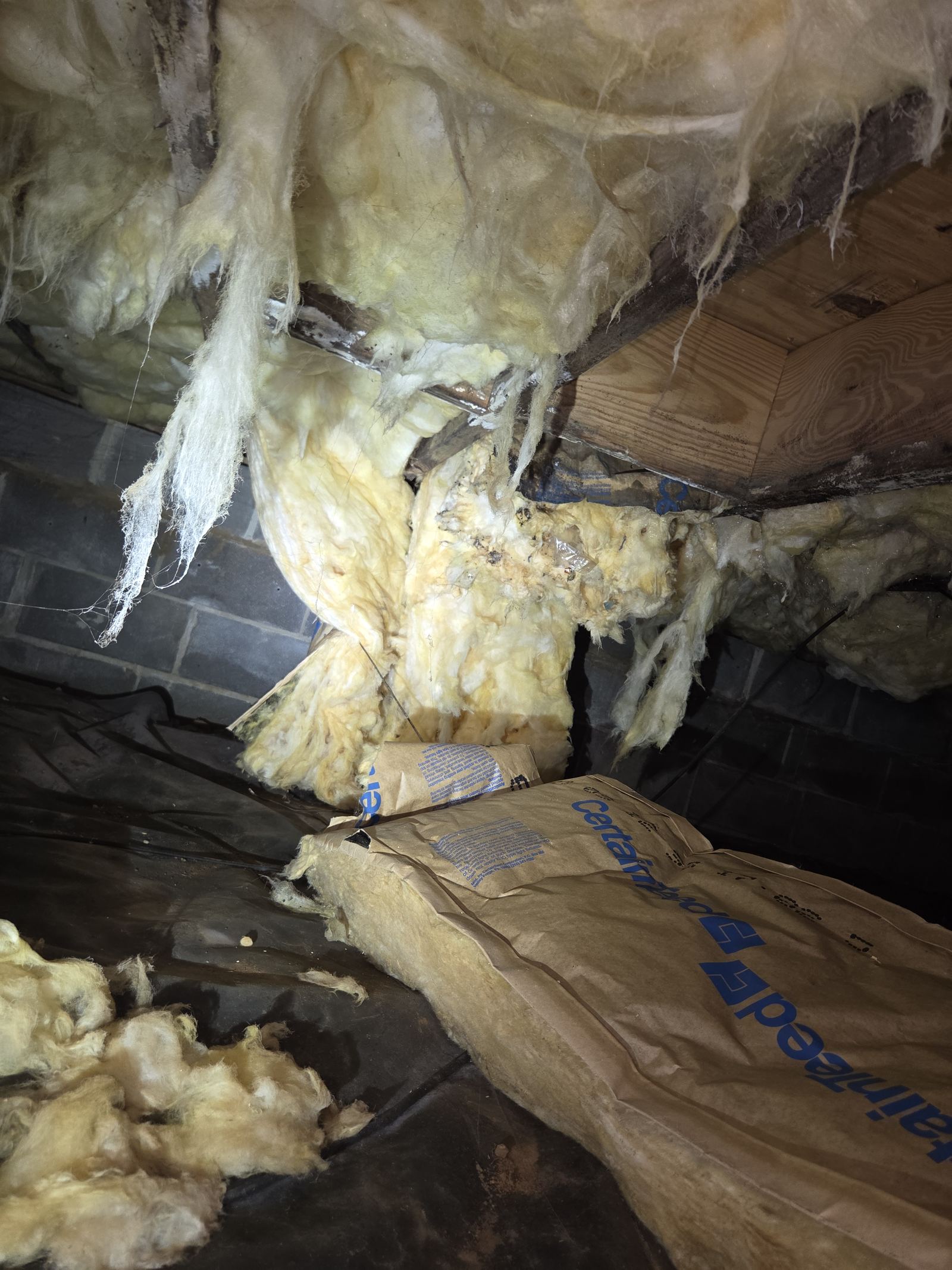 Severely moldy, sagging fiberglass insulation hanging in sheets from crawlspace floor joists before removal