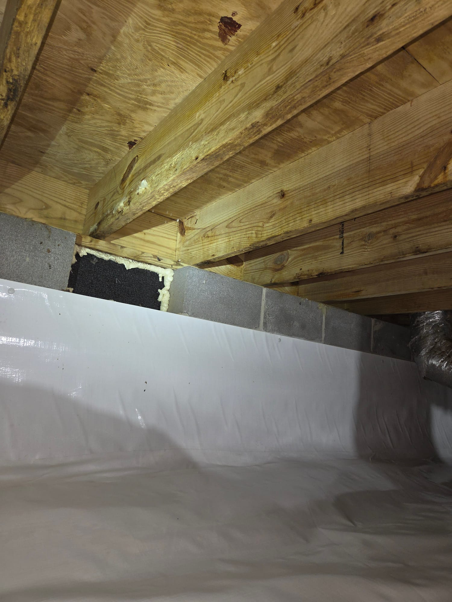 Same crawlspace after service with treated floor framing and a clean white vapor barrier sealed up the block foundation wall
